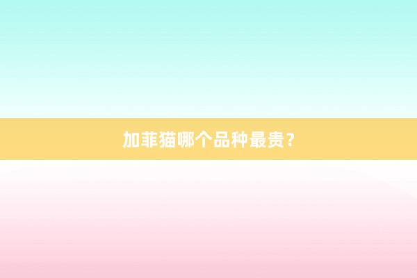   加菲猫哪个品种最贵？