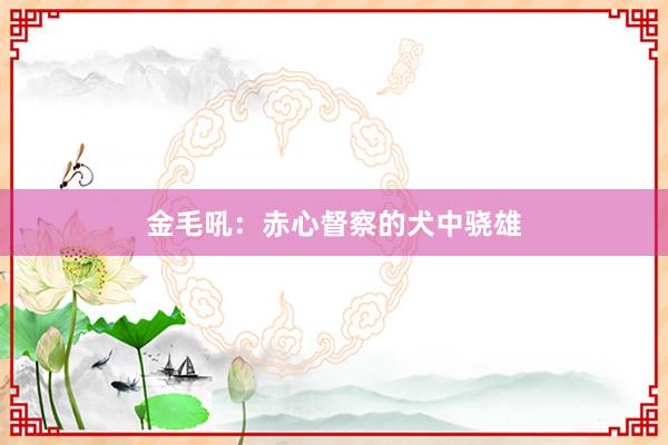 金毛吼：赤心督察的犬中骁雄